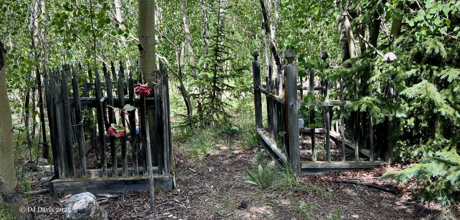 Their Stories Remain